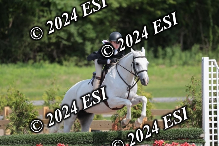 628SC1_8497