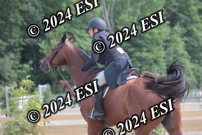 628SC1_8519