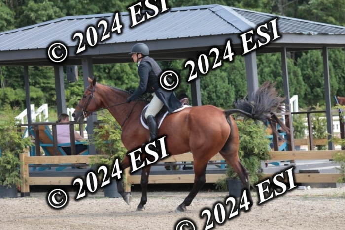 628SC1_8521