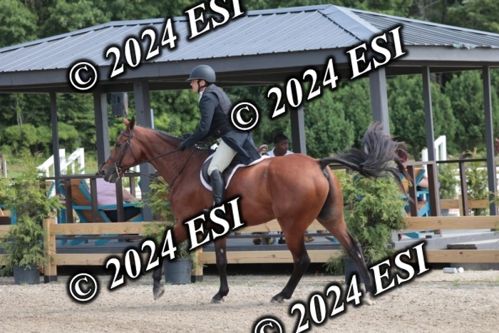 628SC1_8522