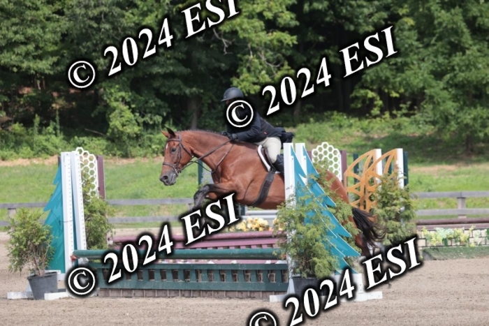 628SC1_8533