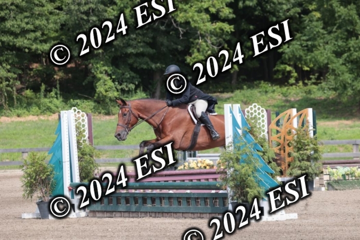 628SC1_8534