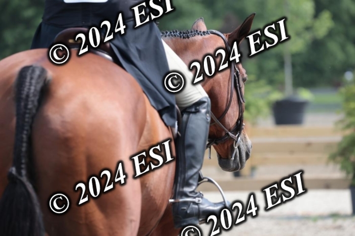 628SC1_8541