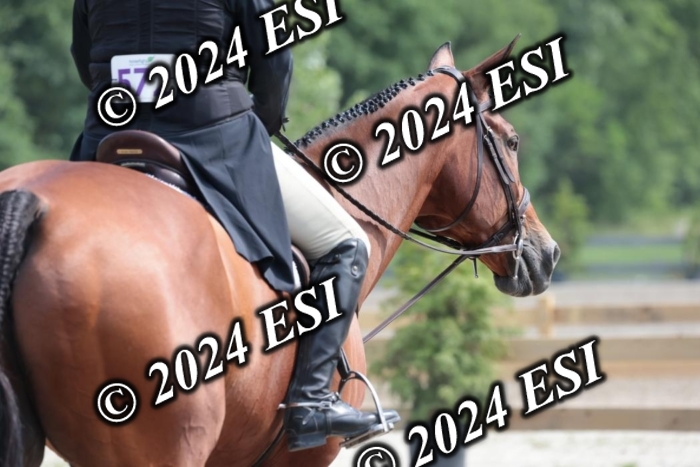 628SC1_8542