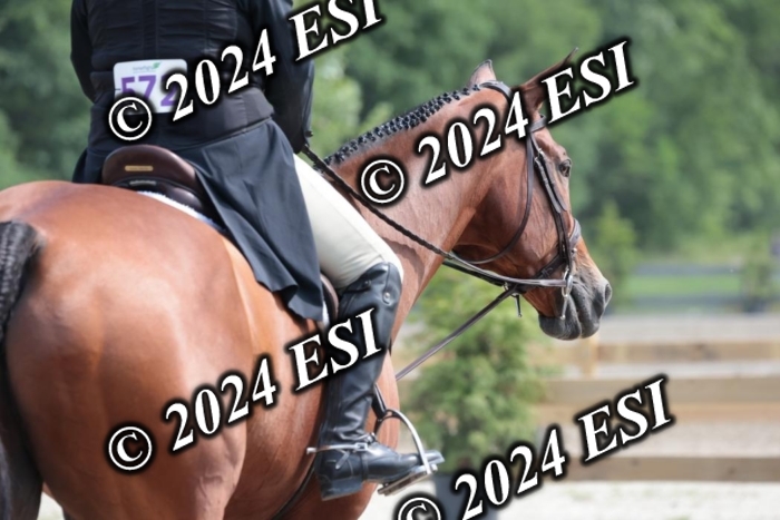 628SC1_8543