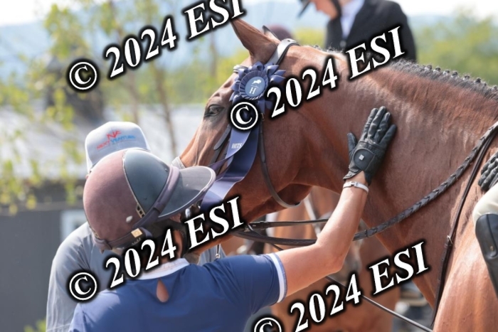 628SC1_8550