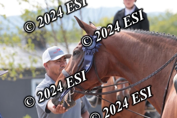 628SC1_8552