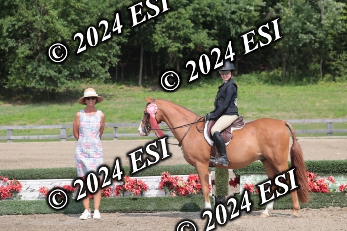 628SC1_8568