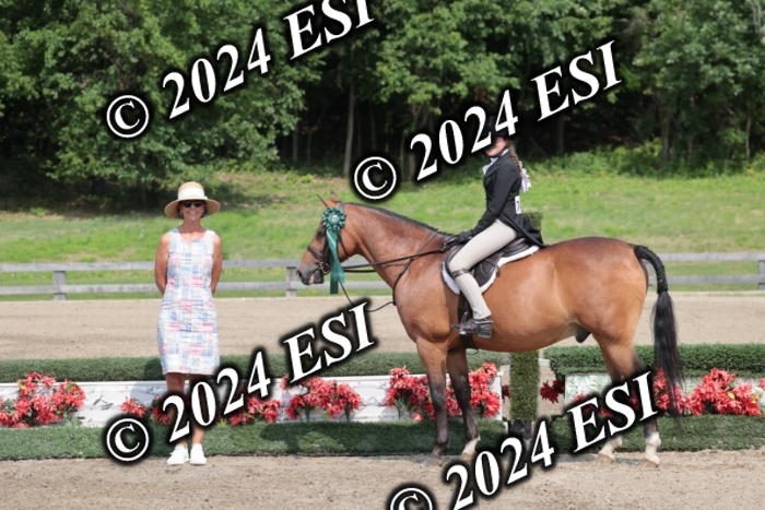 628SC1_8576