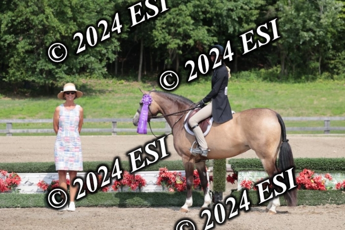 628SC1_8578