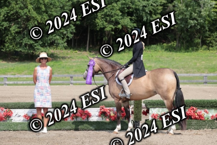 628SC1_8579
