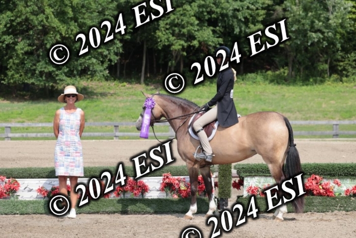 628SC1_8581