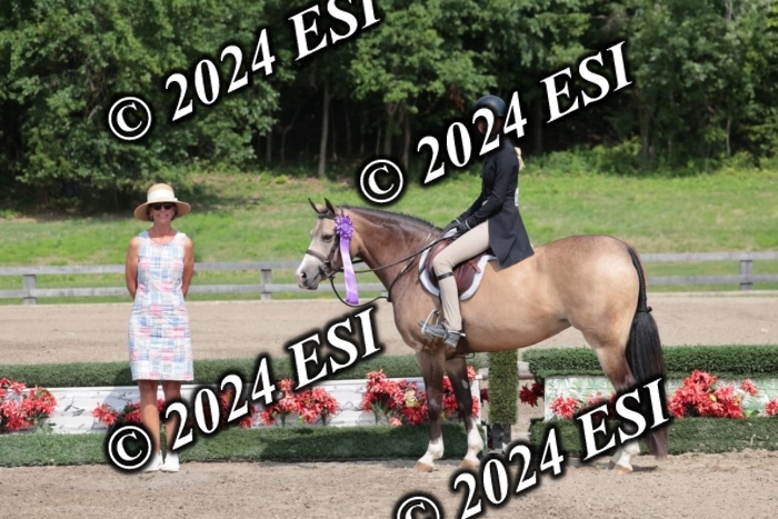 628SC1_8582