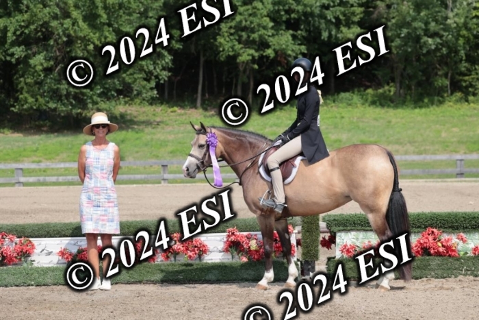 628SC1_8583