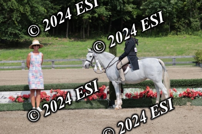 628SC1_8584