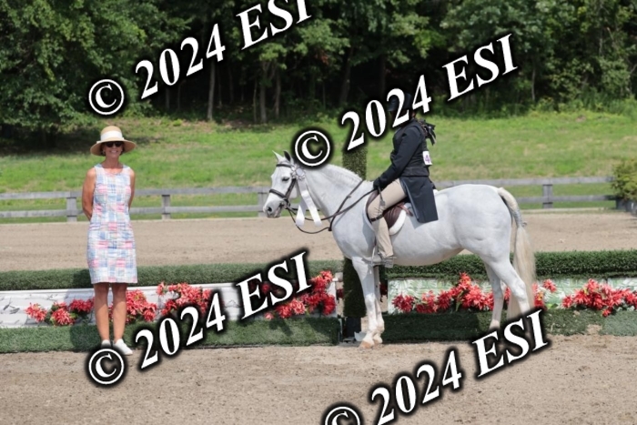 628SC1_8585