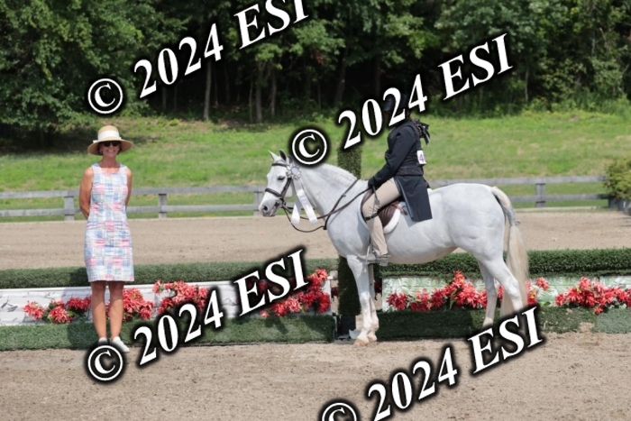 628SC1_8586