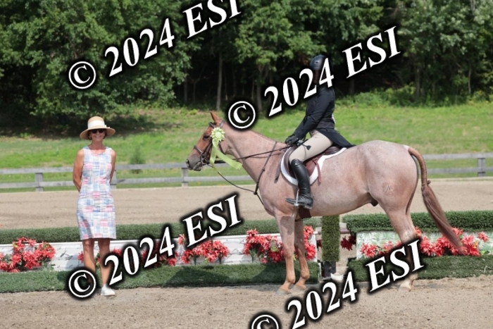 628SC1_8588