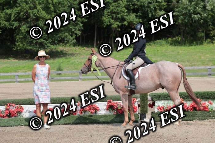 628SC1_8590
