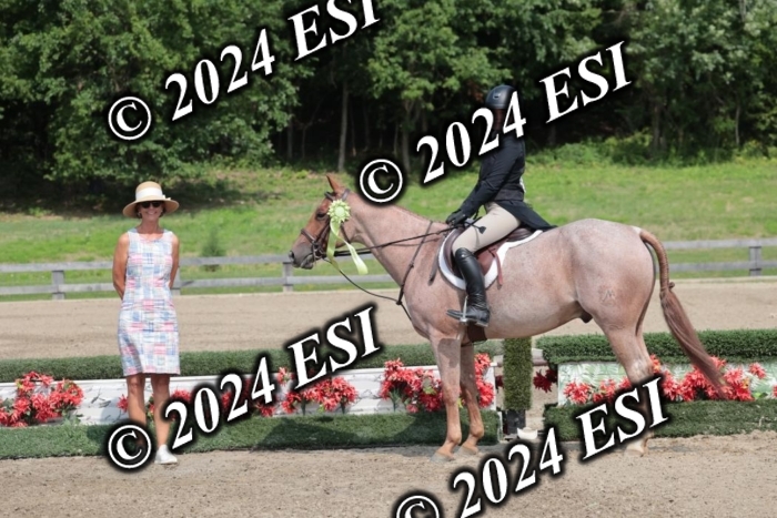 628SC1_8591