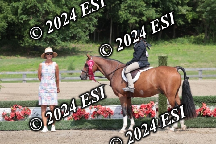 628SC1_8596