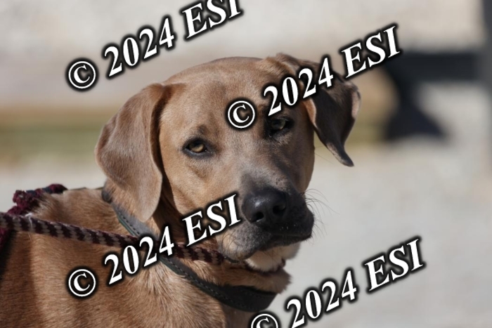 8882190H8A9470