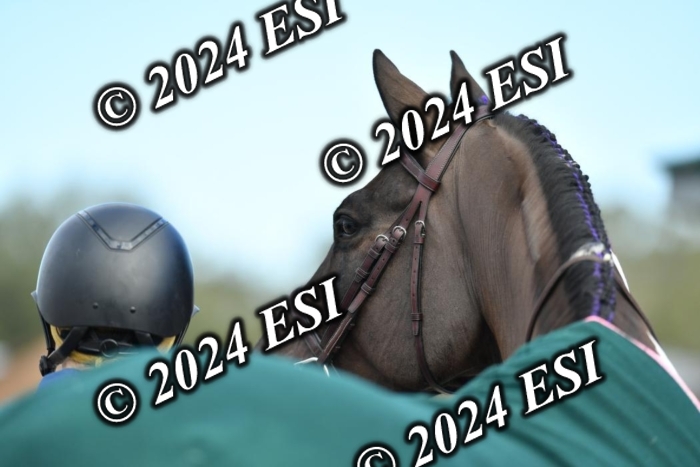 888629KK5_9323