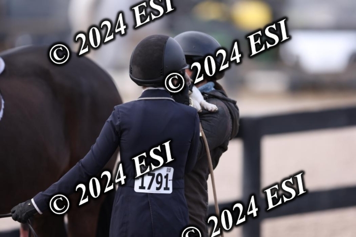 888631DI1_2047