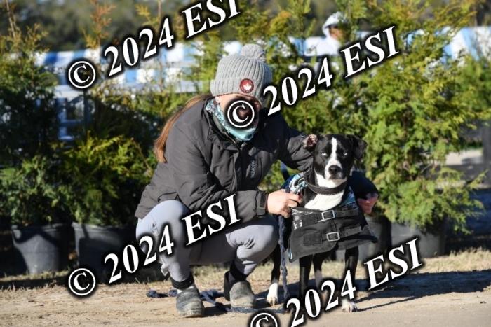 888660DAV_4777