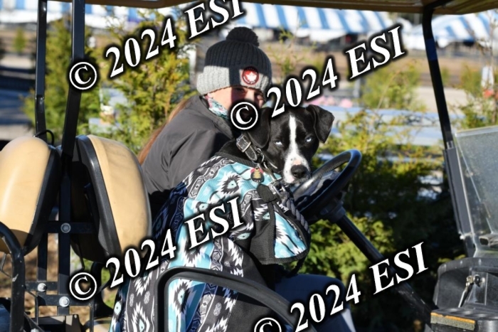 888660DAV_4780