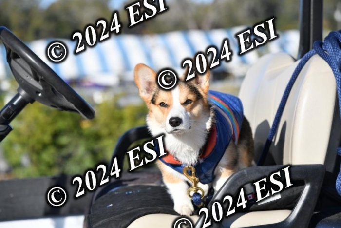 888660DAV_4784