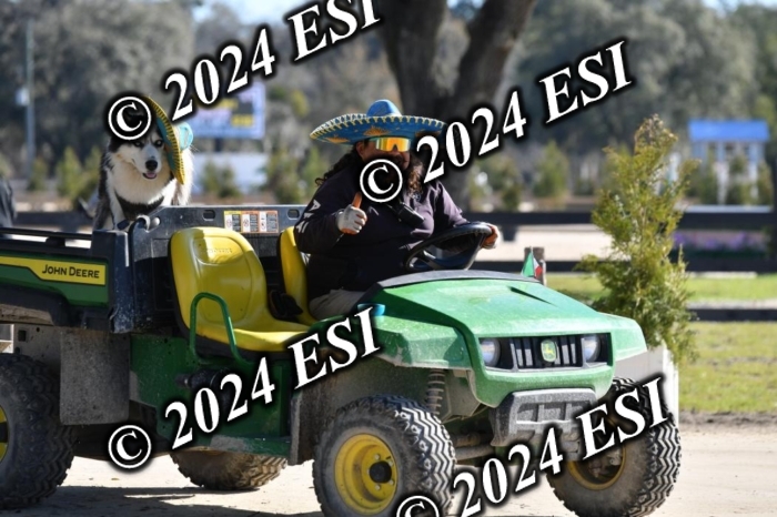 888660DAV_4858