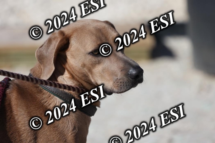 8882190H8A9469