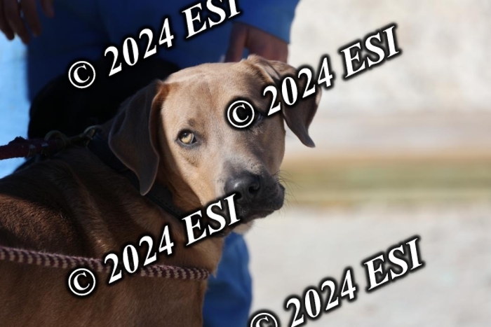 8882190H8A9472
