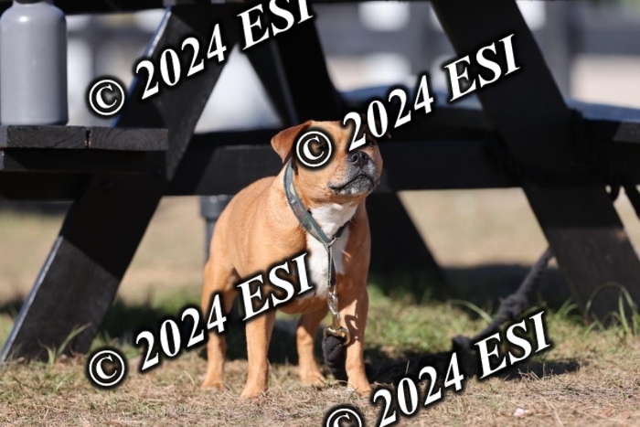 888473DI2_1670