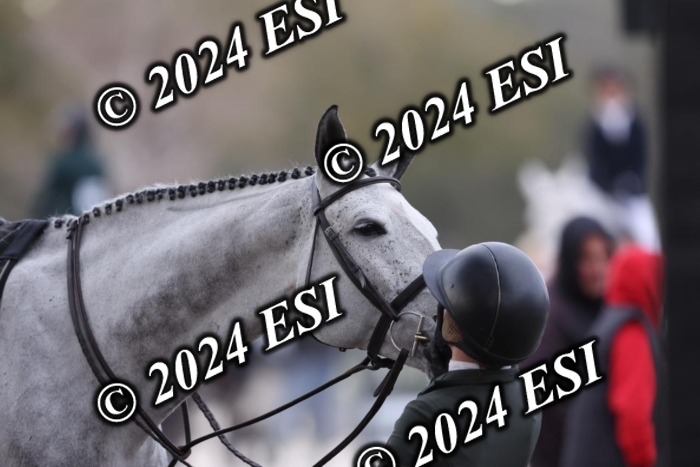888631DI1_2122