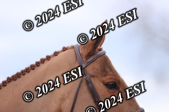888631DI2_1491