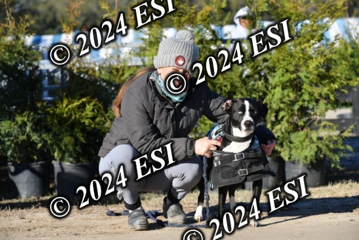 888660DAV_4776