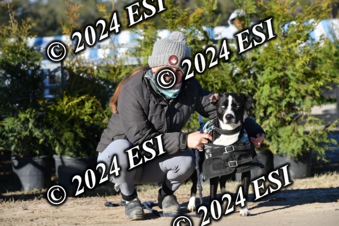 888660DAV_4778