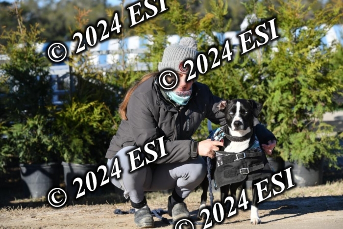 888660DAV_4779