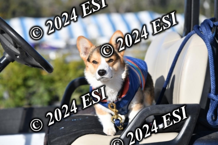 888660DAV_4783