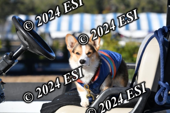 888660DAV_4785