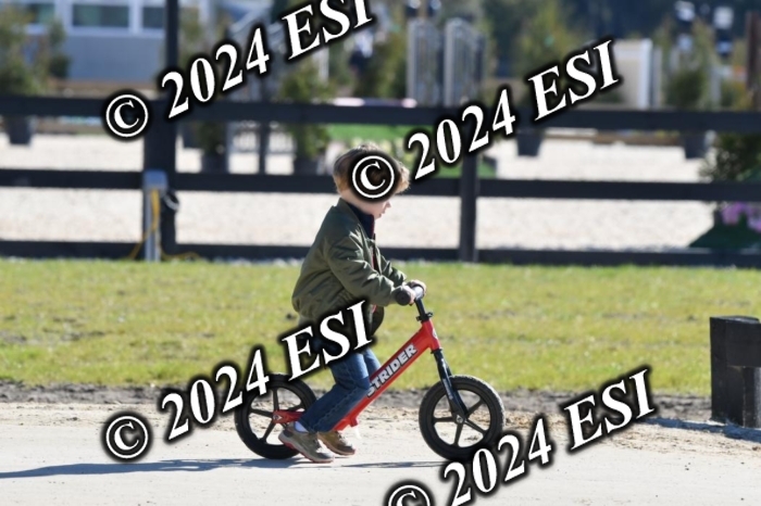 888660DAV_4881