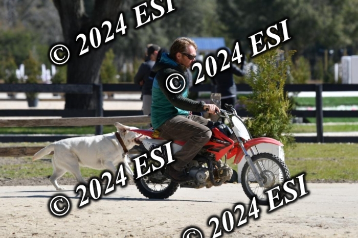 888660DAV_4991