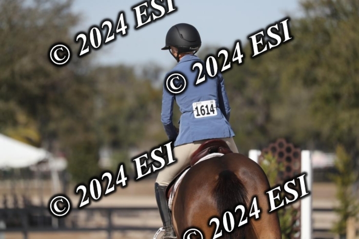 017RWCL6208