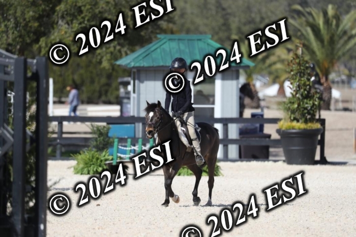 017RWCL6219