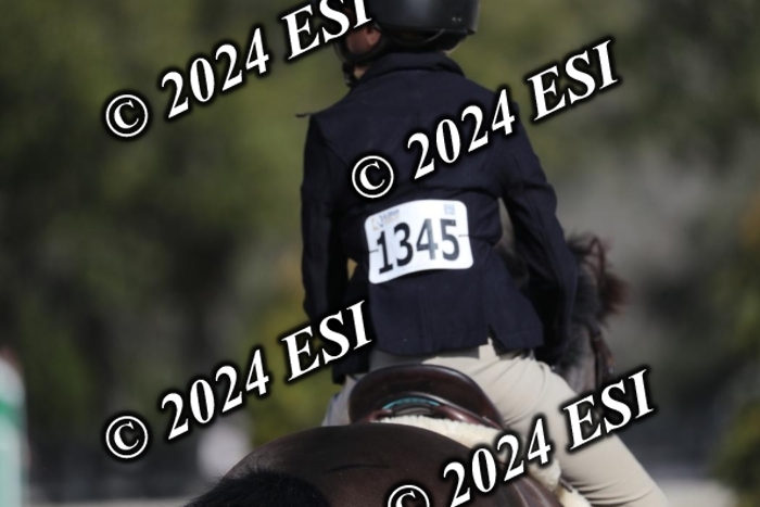 017RWCL6222