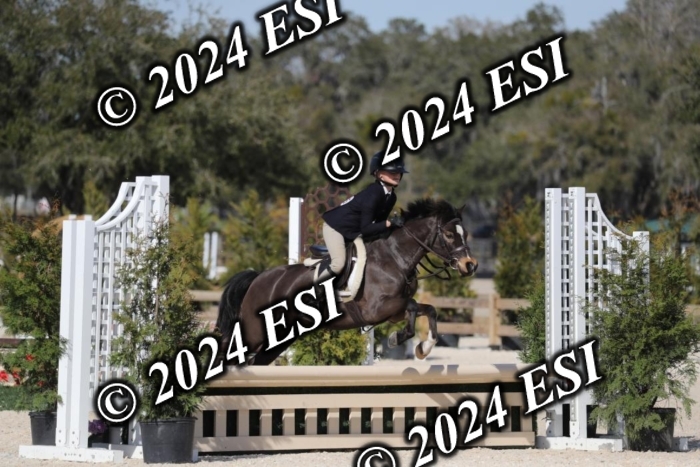 017RWCL6224