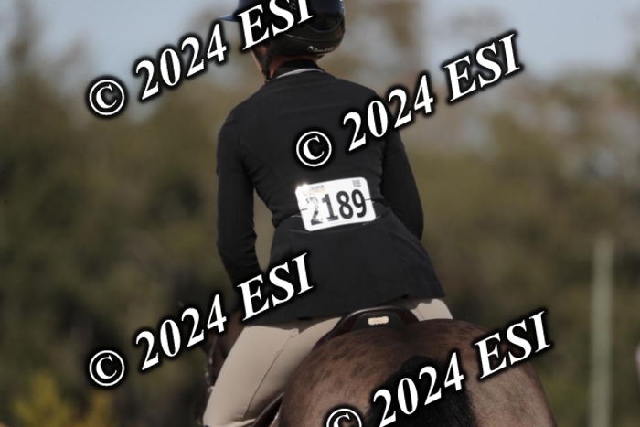 017RWCL6228