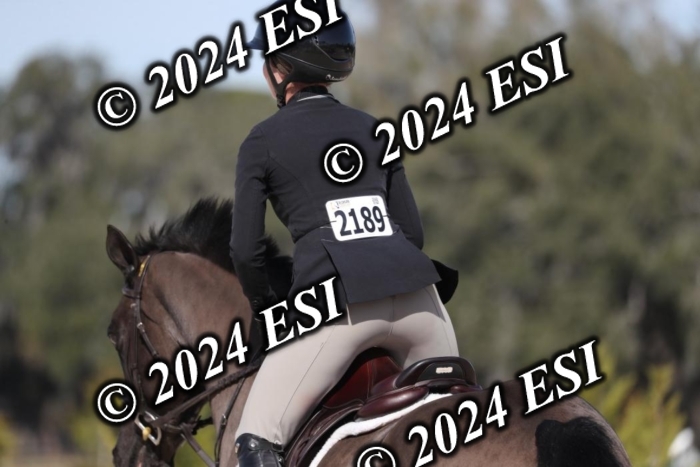 017RWCL6229